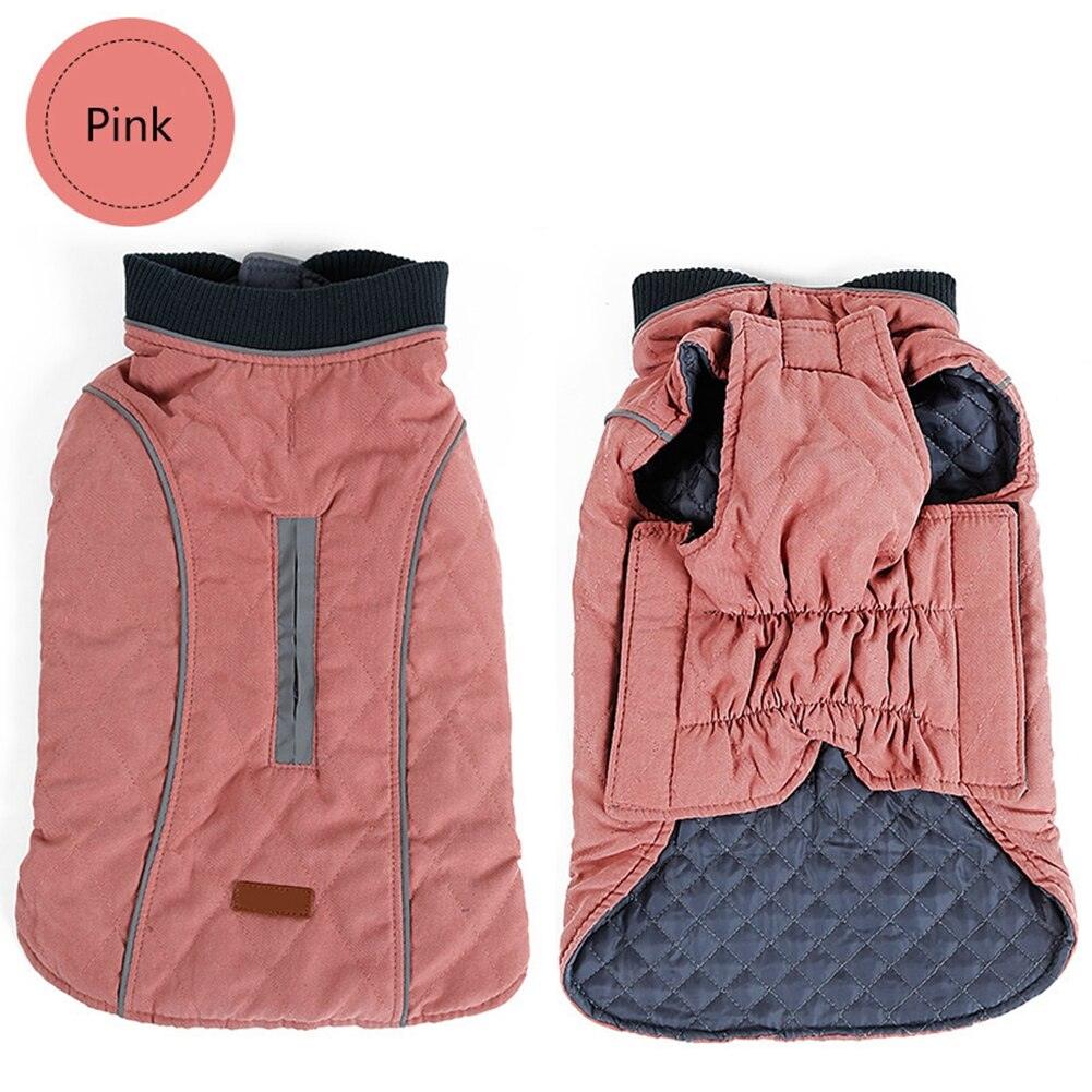 Premium Frenchie Winter Jacket - Frenchie Emporium