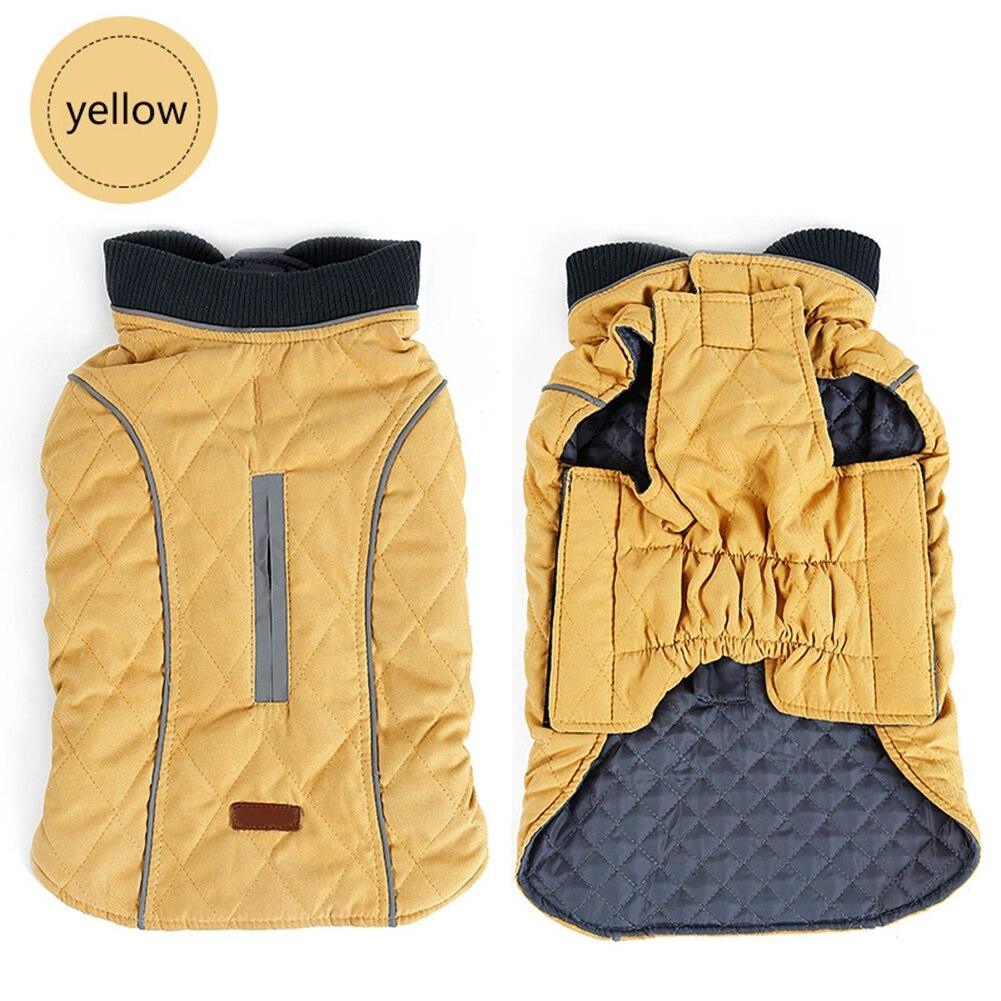 Premium Frenchie Winter Jacket - Frenchie Emporium