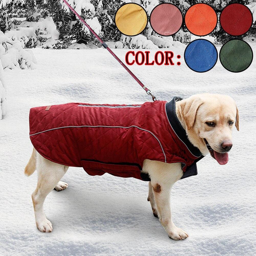 Premium Frenchie Winter Jacket - Frenchie Emporium