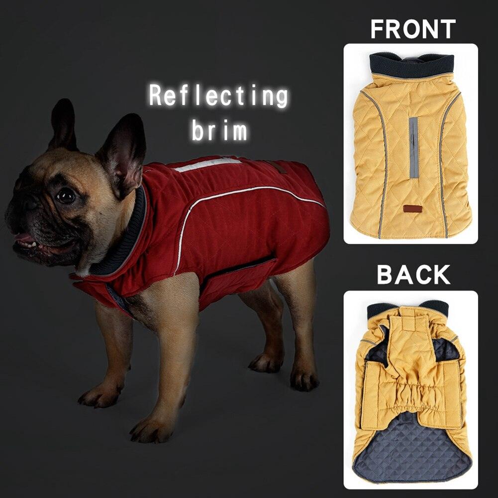 Premium Frenchie Winter Jacket - Frenchie Emporium