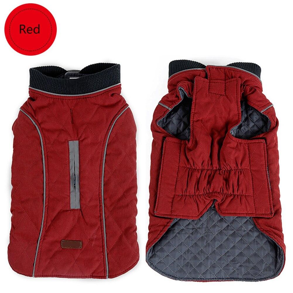 Premium Frenchie Winter Jacket - Frenchie Emporium