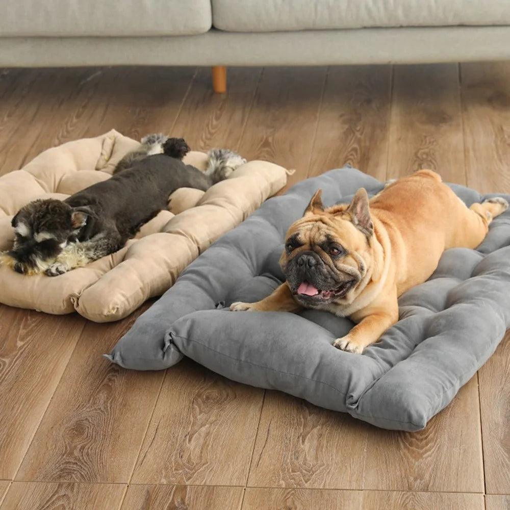 Multifunction Frenchie Bed 3 IN 1 : Bed - Sofa - Mat - Frenchie Emporium
