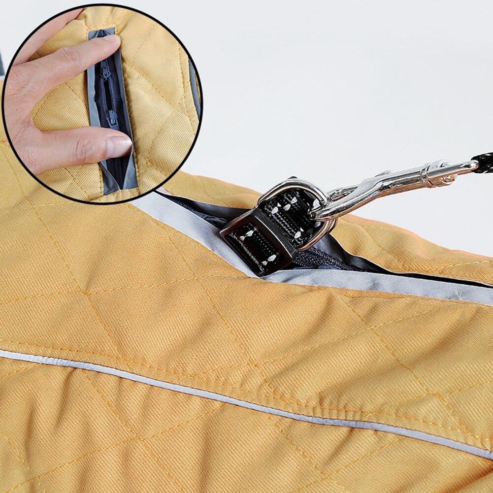 Premium Frenchie Winter Jacket - Frenchie Emporium