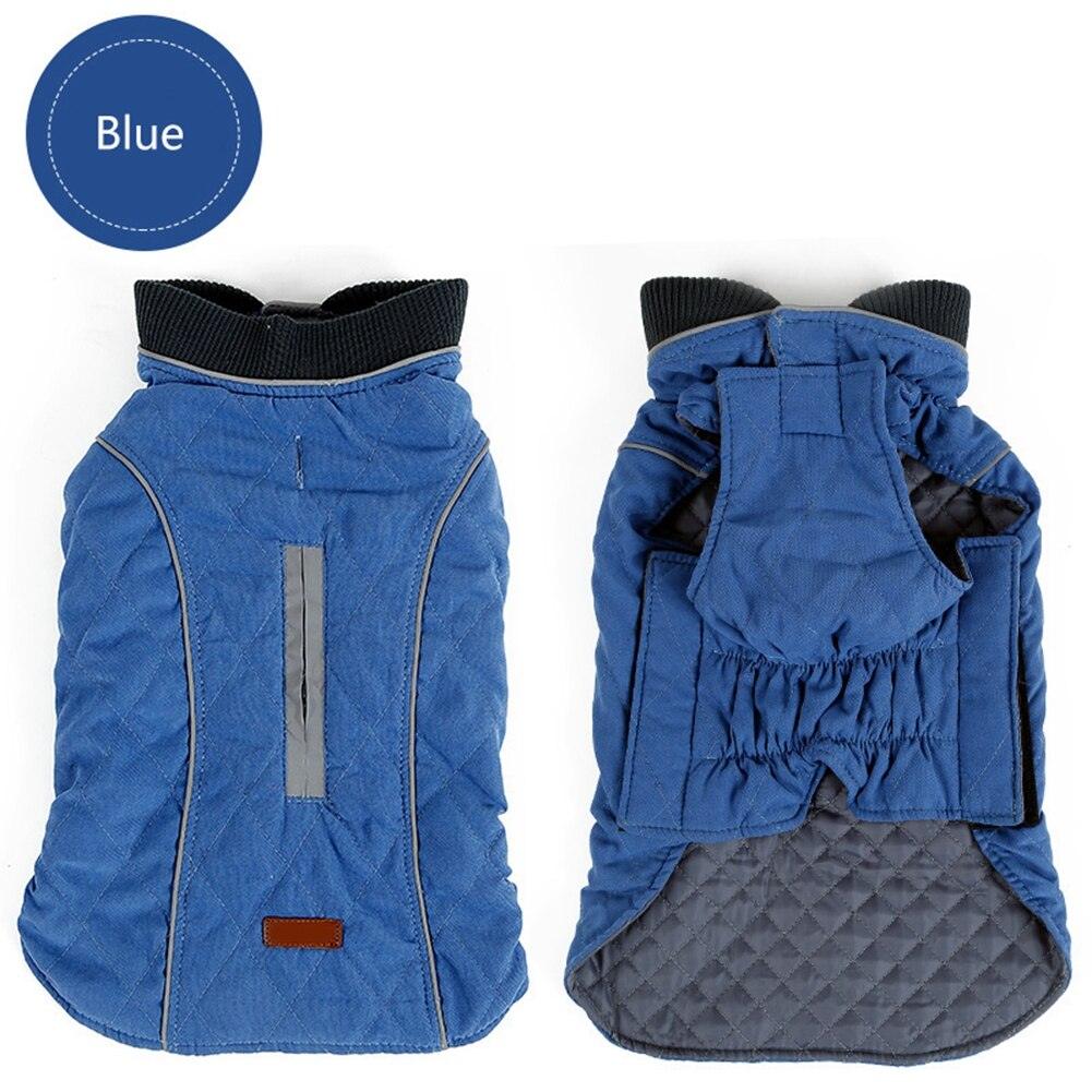 Premium Frenchie Winter Jacket - Frenchie Emporium