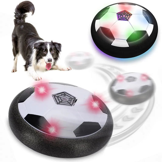 Frenchie Interactive Soccer Ball Dog Toy