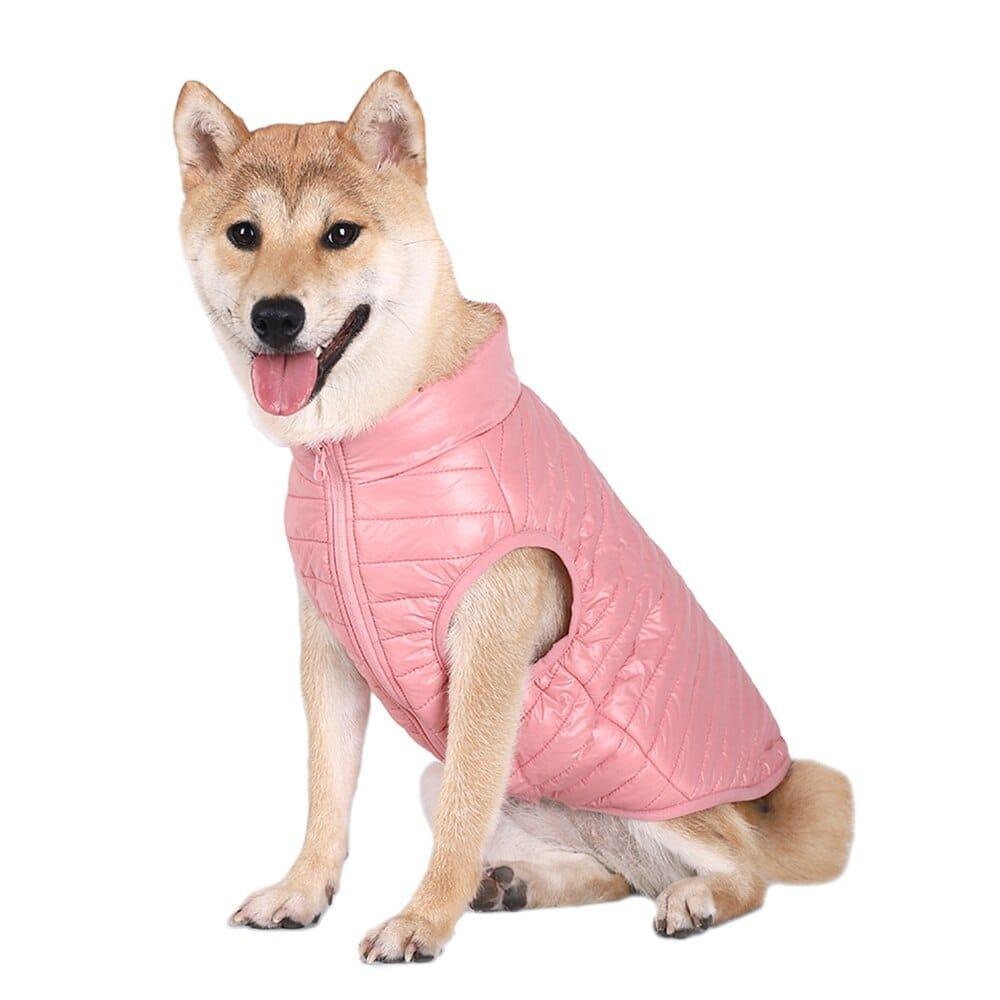 French Bulldog Winter Coat - Frenchie Emporium