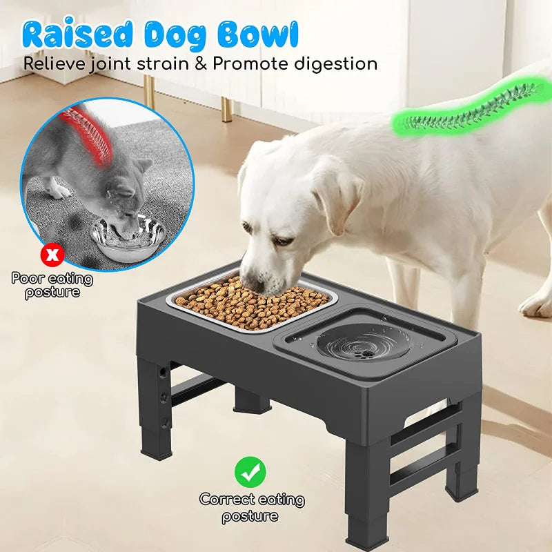 French Bulldog Food and Water Station 2 options: Stainless Steel or Slow Feeder