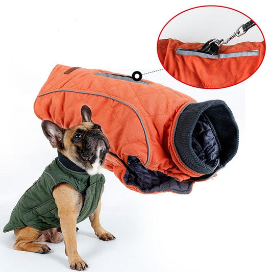 Premium Frenchie Winter Jacket - Frenchie Emporium