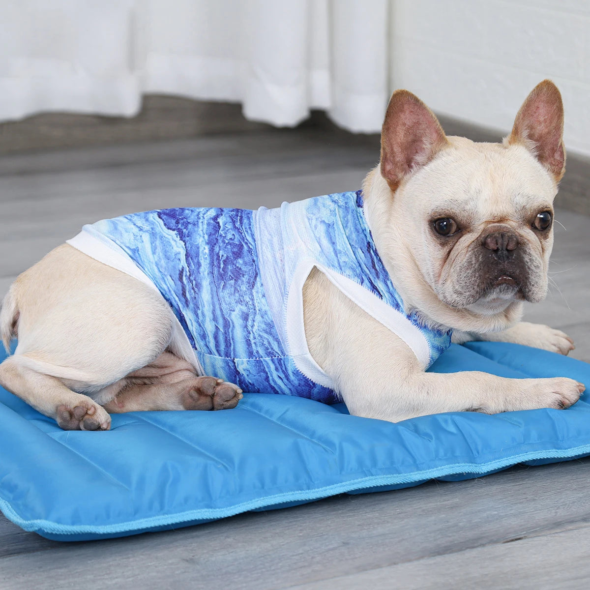 French Bulldog Cooling Summer Clothing - Frenchie Emporium